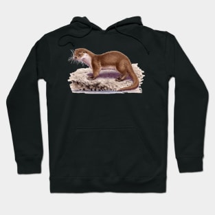 Eurasian Otter Hoodie